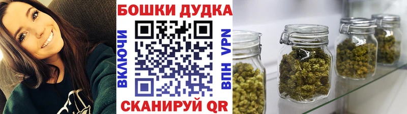 где купить наркоту  Североуральск  Каннабис SATIVA & INDICA 